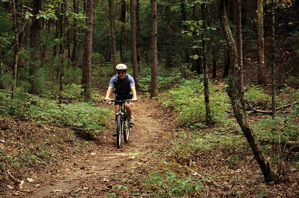 Unicoi State Park & Lodge Helen Exteriör bild